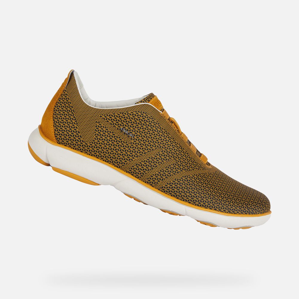 Basket Geox Nebula - Jaune - Homme 567803-DKZ